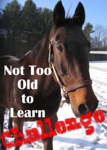 not too old to learn challenge