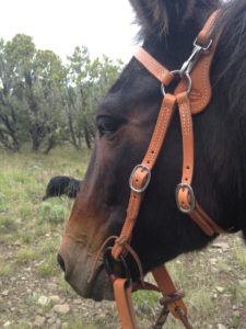 Snap crown headstall by SoMoMule