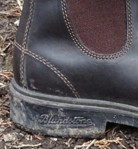 ll bean blundstone boots